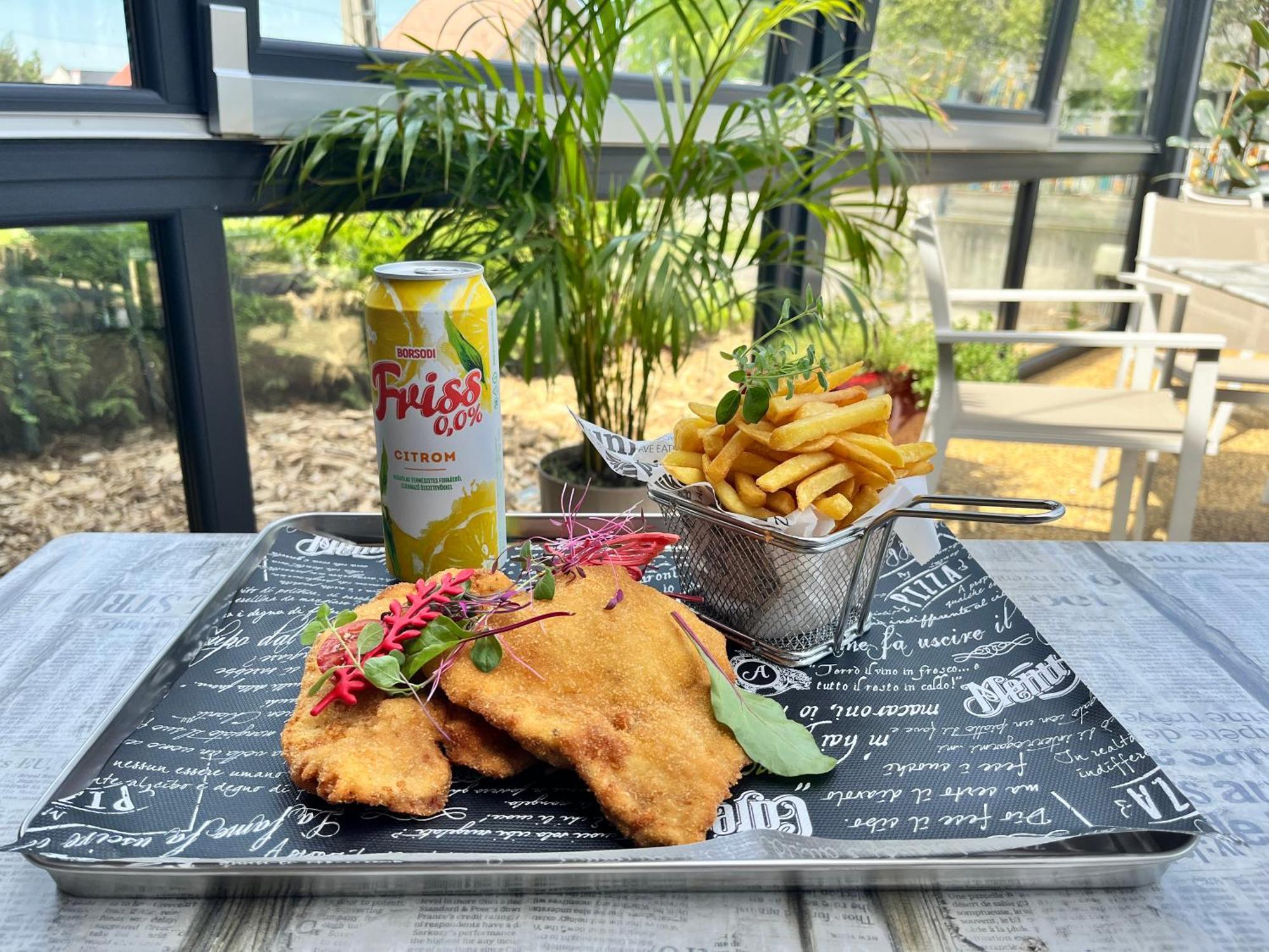 Pipacs Panir & Grill Garden Vendeghaz Hotel Győrújbarát Екстериор снимка